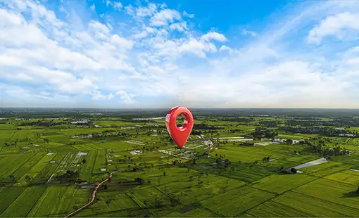 Della Pune Images